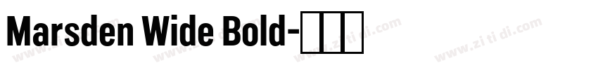 Marsden Wide Bold字体转换